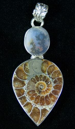 Fossil Ammonite Pendant - Sterling Silver #12748